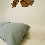 公寓 Hoplaco Apartament, Almost On The