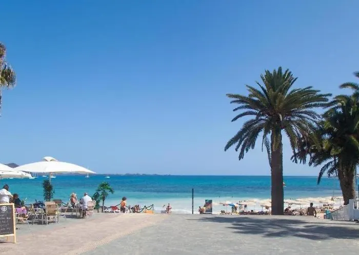 Hoplaco Apartament, Almost On The *